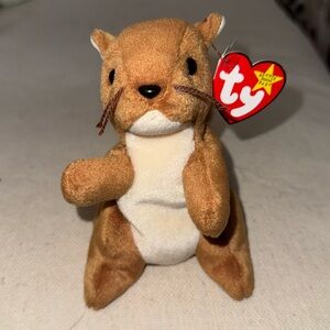 TY Beanie Baby Nuts the squirrel with Hissy Tush Tag.  Rare error
